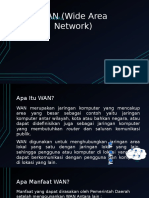 WAN (Wide Area Network)