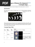 Carnegie Stages, Human Development