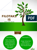 FILOTAKSIS