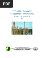 Proposed PCA Typhoon Damage Assessement Protocol for Coconuts v5