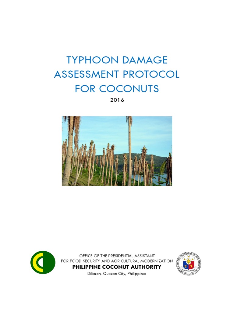 Typhoon Damage Assessment for Coconuts | PDF | Tropical Cyclones | Coconut