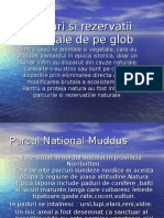 41531309-Parcuri-Si-Rezervatii-Naturale-de-Pe-Glob.ppt