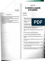 Estructura y Proposito Parrafos PDF