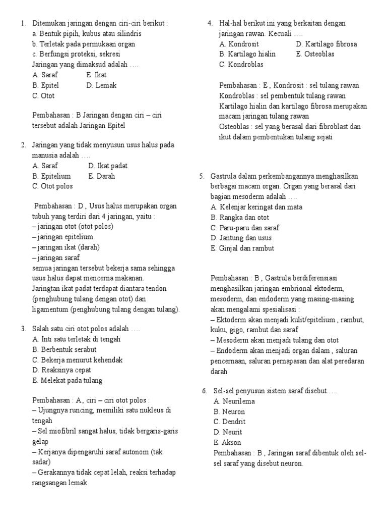 Soal Uraian Tentang Materi Jaringan Hewan