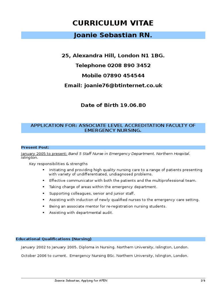 Curriculum vitae examples pdf picture