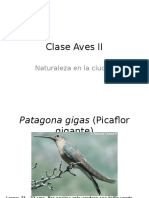 Clase Aves II