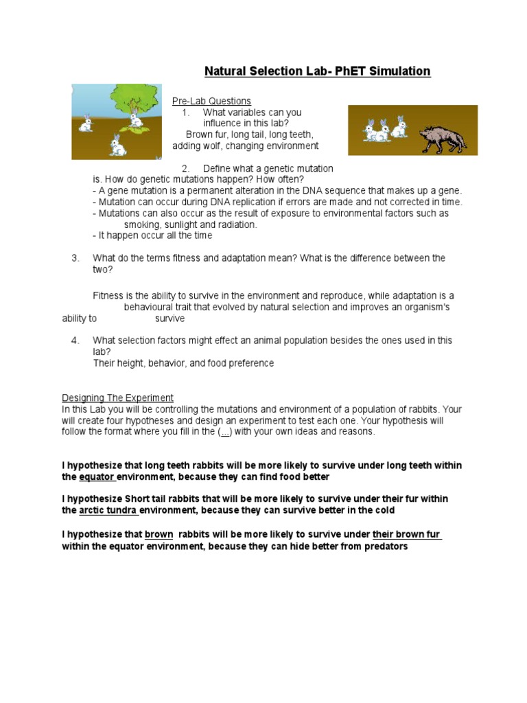 phet natural selection | Dominance (Genetics) | Natural Selection
