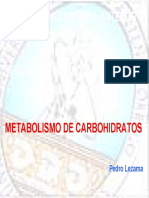 2. Metabolismo de Carbohidratos 2