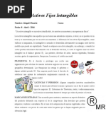 Activos Fijos Intangibles