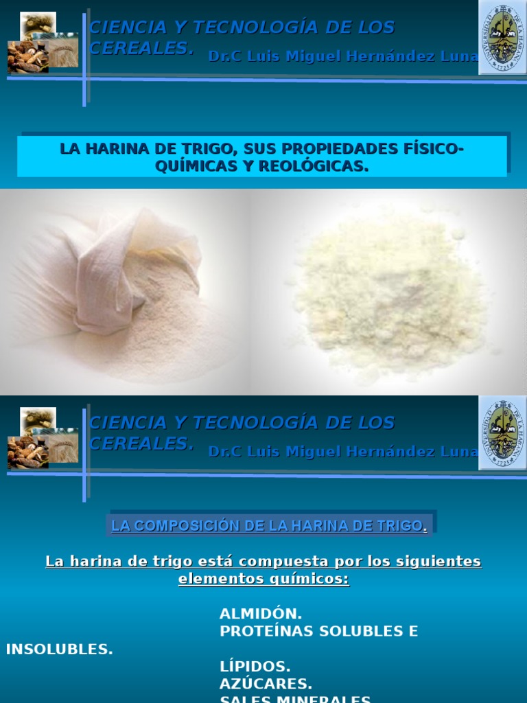 5 Harina de Trigo y Sus