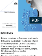 2 Influenza PDF