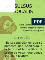 Diapositivas Sulsus Vocalis-1