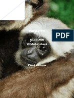 PRIMATES-Hylobatidae Ed PDF