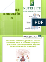 Sistema Endocrino