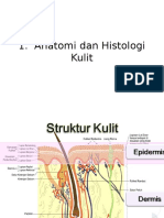 Anatomi Dan Histologi Kulit