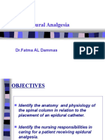 1st Day Epidural Presentation2-4