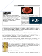 4 Preparación de Medios de Cultivo Sólidos