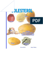 (Ebook) Colesterol - Tratamiento Natural Alimenticio