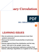 Pulmonary Circulation