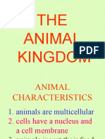 Theanimalkingdom