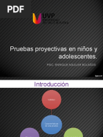 PRUEBAS PROYECTIVAS