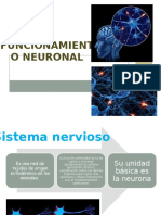 Neuronas