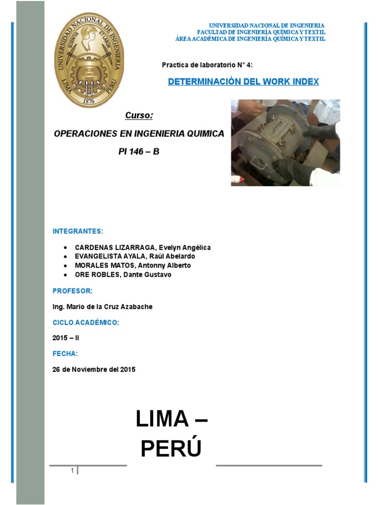 Determinación Del Work Index | PDF | Ingeniería Química | Ciencias fisicas
