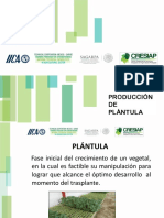 Agricultura Protegida PDF