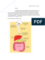 Humanbodyprojectproposal 1