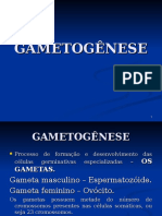 Gametonese Aula2