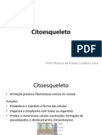 Citoesqueleto FCSES