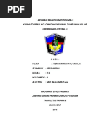Download Laporan Kromatografi Kolom Konvensional by Ayhu Rahayu SN309729686 doc pdf