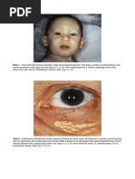 Download High Yield Pics for STEP 2 CK by Kinan Alhalabi SN309740612 doc pdf