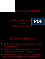 DX Imaging - Normal X-Ray Anatomy