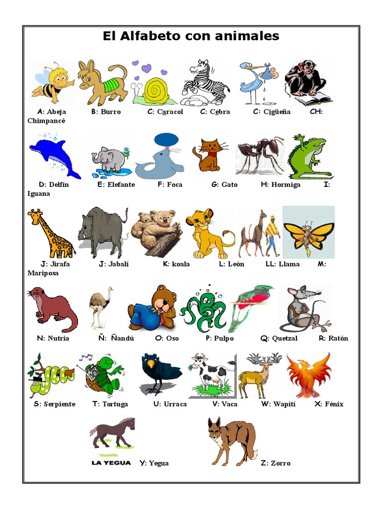 Abecedario de Animales en Español | PDF | Organismos | Naturaleza