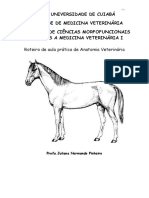 Anatomia Veterinária: Roteiro de aula prática