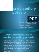 Bomba de Sodio y Potasio