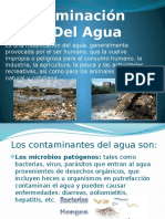 Contaminación Del Agua