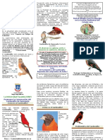 Conservando al Cardenalito de Venezuela