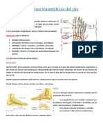 Lesiones Traumáticas Del Pie