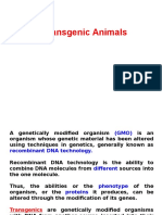 Lecture On Transgenic Animals