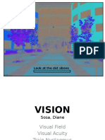 Vision Experiment