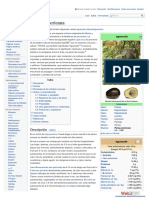Es Wikipedia Org