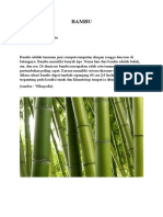 Bambu Dan Bahan