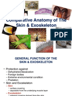 Lec2B Skin and Exoskeleton Summer2014