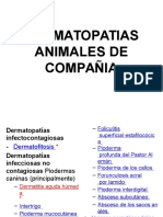 1-2 Dermatopatias. Animales de Compañia Pptx