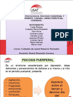 Collage de Grupo-Depresión y Psicosis Puerperal