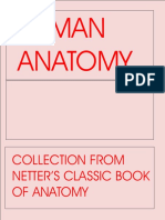 246601273-17707636-Human-Anatomy-pdf.pdf
