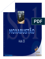 Moxa Bust Ão