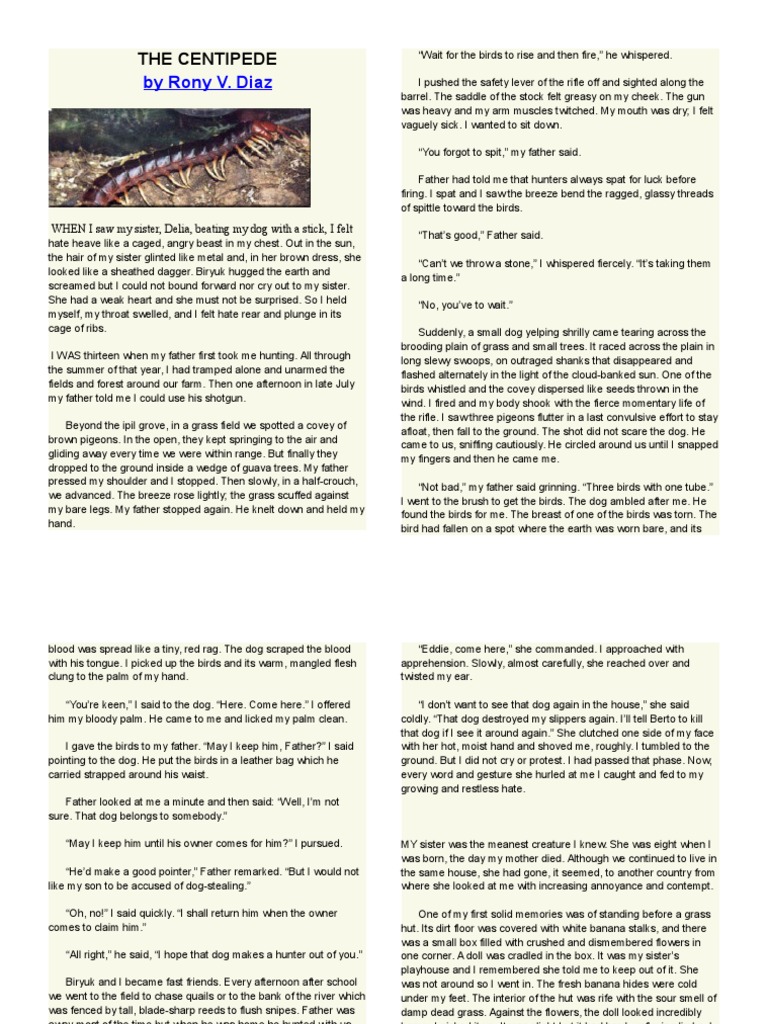The Centipede Narration
